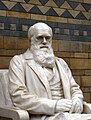 Statue of Charles Darwin in the Natural History Museum