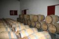Barrel aging room at Château Haut-Bailly.