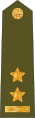 Czech Army (Podplukovník)