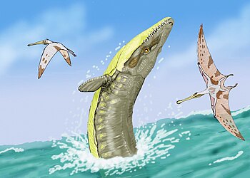 Life restoration of Dakosaurus maximus (breaching, center) and Gnathosaurus subulatus (flying).
