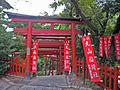 The red torii (gates) along the road to Inari shrine