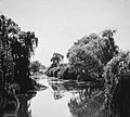 Molonglo River at Acton, 1920