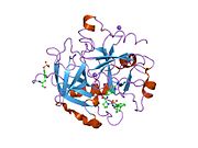 1sb1: Novel Non-Covalent Thrombin Inhibitors Incorporating P1 4,5,6,7-Tetrahydrobenzothiazole Arginine Side Chain Mimetics
