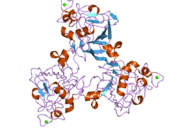 2j64: H-FICOLIN