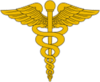 Medical Corps Branch Insignia