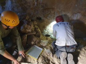 Researchers and documenters recording ancient remains in one of the water pits