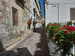 An image of Castronuovo di Sant'Andrea.