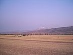 Grain fields in the eastern part of Isfana