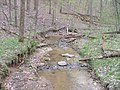 Marie J. Desonier State Nature Preserve in Ohio