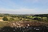 Wansdyke Earthwork