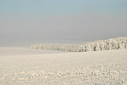 Blagodarnovsky reserve, Tashlinsky District