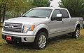 2010 F-150 Platinum