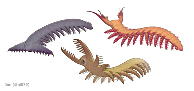 The siberiid lobopodians Siberion (upper left), Megadictyon (bottom center) and Jianshanopodia (upper right)