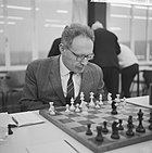 Mikhail Botvinnik