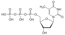Skeletal formula of thymidine triphosphate, 3- negative charge