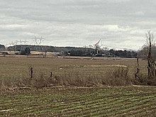 Large, downed power-line towers, seen across a field