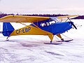 Fleet Canuck on skis