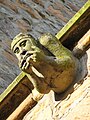 Gargoyle, Dornoch Cathedral