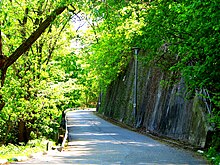 small road winding through forest along a hillside