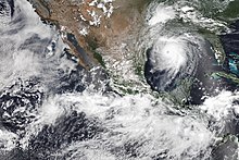 A satellite image of tropical storms Hernan, Iselle, and Hurricane Laura