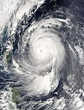 Typhoon Maemi