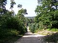 The Bois de Perthe has much greater topographical relief than that of the rest of the forest; here, the Regard route between the Perthe post and the Desert.