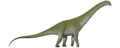 Chucarosaurus