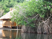Stilt house on Chacahua lagoon