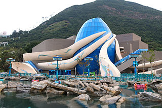 海洋奇观 The Grand Aquarium