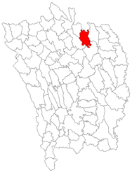 Location in Vaslui County