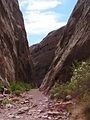 Capitol Gorge, Capitol Reef National Park