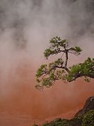 Natural iron hot spring, Beppu, Japan. Not a print but a beautiful photo