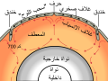 العربية • 阿拉伯语