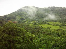 photo of the Meratus Mountains