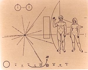 Image of the Pioneer plaque