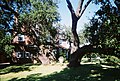 House in Hyde Park Historic District