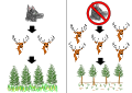 Image 15A simple trophic cascade diagram. On the right shows when wolves are absent, showing an increase in elks and reduction in vegetation growth. The left one shows when wolves are present and controlling the elk population. (from Community (ecology))