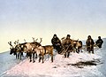 A reindeer sled, Archangelsk, Russia