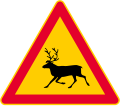 Animals (Reindeer)