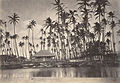 Heluma, King Kamehameha V's royal cottage amongst the sacred coconut groves