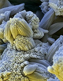 A scanning electron micrograph of limescale (The field of view is 64 × 90 μm).