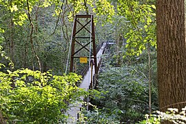 Patapsco Swinging Bridge