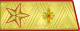 1955年－1974年苏联通信兵元帅礼服肩章