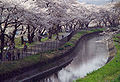 Tamagawa Aqueduct in Hamura 35°44′57.84″N 139°18′59.49″E﻿ / ﻿35.7494000°N 139.3165250°E﻿ / 35.7494000; 139.3165250