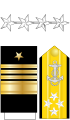 上将