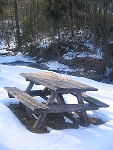 雪地里的木制野餐桌，背景是小溪和光秃秃的针叶树。