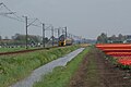 Rural landscape of Zuidermeer