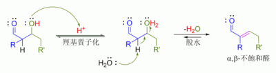 酸-催化下羥醛脫水機理