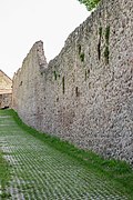 城墙（法语：Enceintes de Ribeauvillé）