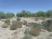 The Ruins of Levi Ruggles House. The house was built in 1866 and the ruins are located in Ruggles St. between Quartz and Willow Streets. American Civil War veteran Levi Ruggles, the founder of Florence, came to Arizona Territory in 1866 as a U.S. Indian Agent. Recognizing the agricultural potential of the valley, he found an easily fordable crossing on the Gila River and surveyed a townsite here. In 1869, he built his first family home. With the aid of Governor R.C. McCormick, he secured a post office in August of the same year. Ruggles held numerous public offices including that of Territorial Legislator. Listed as Historic by the Historic District Advisory Commission.